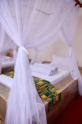 two beds with white drapes in a room at freedom inn in Arusha