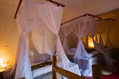 a bedroom with two beds with mosquito nets at freedom inn in Arusha