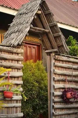 a small house with a roof with plants on it at freedom inn in Arusha