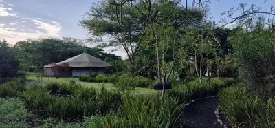 a tent in the middle of a garden at Dolly Farm & River Camp, Luxury Tents in Usa River