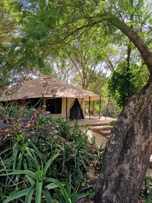 a tent in the middle of a forest at Dolly Farm & River Camp, Luxury Tents in Usa River