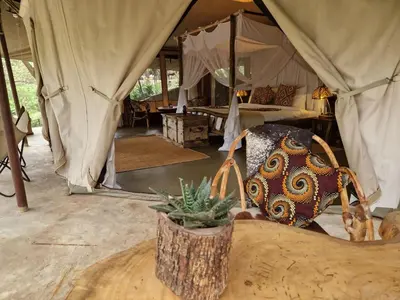 a room with a tent with a bed and a plant at Dolly Farm & River Camp, Luxury Tents in Usa River