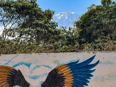 two wings painted on the side of a wall with a mountain at Karibu Africa Home in Moshi