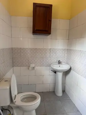 a bathroom with a toilet and a sink at Karibu Africa Home in Moshi