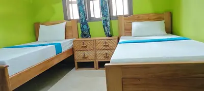two beds in a room with green walls at Hostel Kiliwood in Moshi