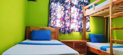 two bunk beds in a room with green walls at Hostel Kiliwood in Moshi