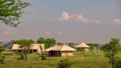 a group of tents in a field with trees at Serengeti Malaika Luxury Camp in Serengeti National Park