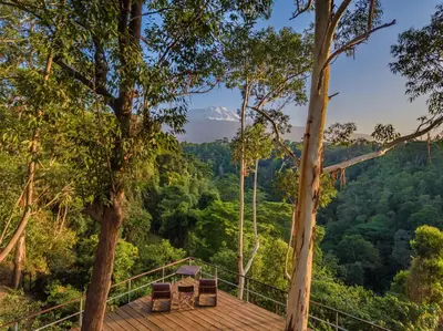 a wooden deck with benches and trees in the forest at Kaliwa Lodge in Moshi