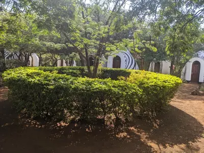a bush in front of a group of tents at Panorama Safari Camp in Mto wa Mbu