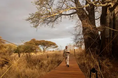 a man walking on a wooden boardwalk near a tree at Olkeri Camp in Olmotoni