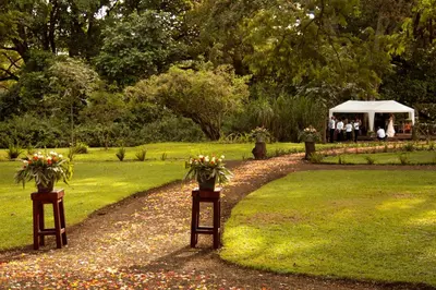 a garden with two wooden stands with flowers on it at Rivertrees Country Inn in Usa River