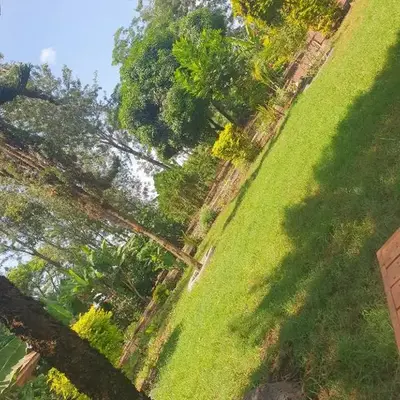 Sinana country Home-Backpackers Stay