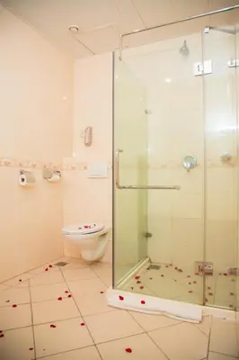 a bathroom with a shower and a toilet at Palace Hotel Arusha in Arusha