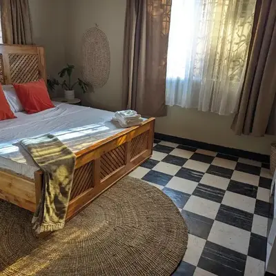 The Lion King Homestay
