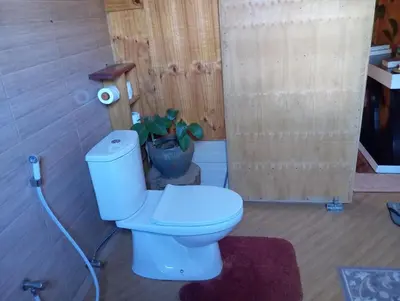a bathroom with a toilet and a plant at THE WOODEN HOUSE in Msaranga