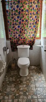 a bathroom with a toilet and a shower curtain at Triple D's in Moshi