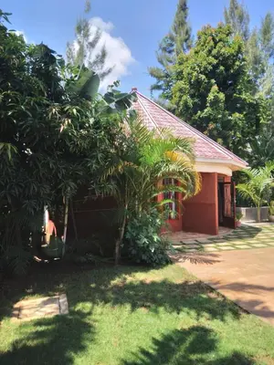 a house with a tree in front of it at Sprunger Avenue - tulia homes in Moshi