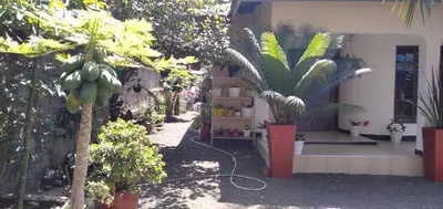 a house with a bunch of plants in a yard at mamacollins homestay in Arusha