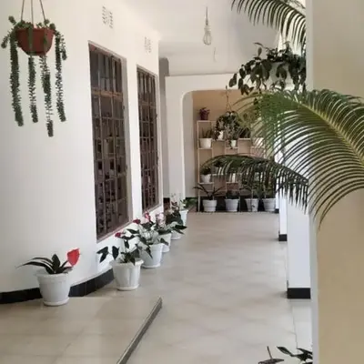 mamacollins homestay