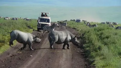 a herd of zebras crossing a dirt road at Ngorongoro Villa and Restaurant in Karatu