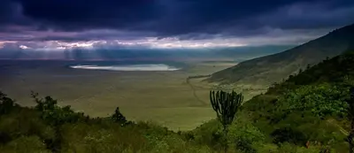 a view of the ocean from a mountain with a palm tree at Ngorongoro Villa and Restaurant in Karatu