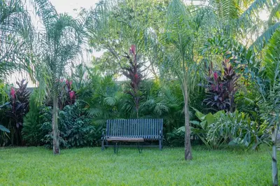 a bench in a garden with trees and plants at Tulivu Kilimanjaro Retreat in Moshi