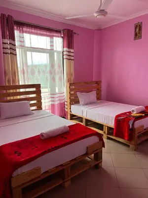 two beds in a room with purple walls at Kilimanjaro Smiley Inn in Moshi