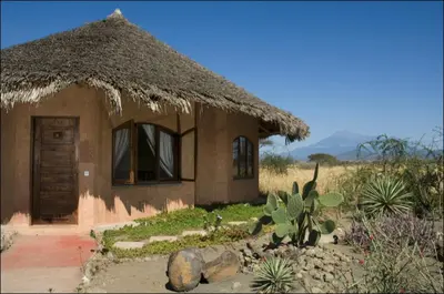 a small house with a thatched roof in a field at Kia Lodge in Arusha