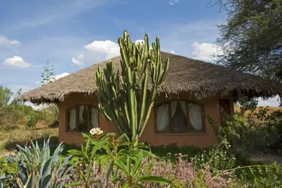 a house with a thatch roof with a cactus in front of it at Kia Lodge in Arusha