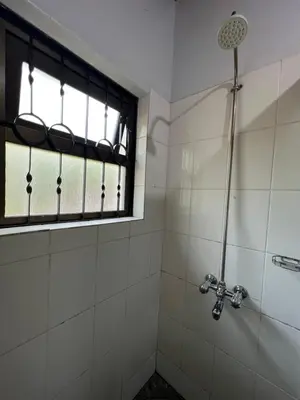 a bathroom with a shower and a window at Walk With Us Africa in Moshi