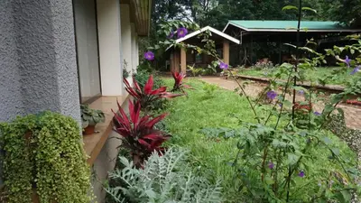 a garden with flowers and plants next to a building at Walk With Us Africa in Moshi