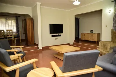 a living room with two chairs and a tv at EMALI ARUSHA HOME in Arusha