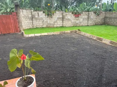 a plant in a pot next to a yard at EMALI ARUSHA HOME in Arusha