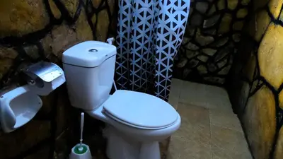 a bathroom with a toilet and a stone wall at Home Feeling Neneu Lodge in Moshi
