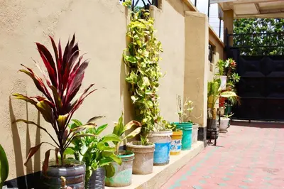a row of potted plants on the side of a building at Catherine home near kilimanjaro international airport JRO in Moshi