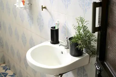 a bathroom with a sink with two plants on it at Catherine home near kilimanjaro international airport JRO in Moshi