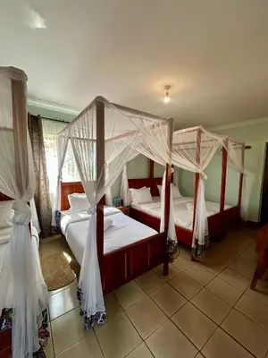 two beds in a bedroom with mosquito nets at Patamu Restaurants Lodge & Safaris in Karatu
