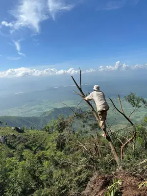 a man standing in a tree on top of a hill at Uvi House & Restaurant in Mntindili