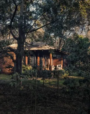 a log cabin in the middle of a forest at Elewana Arusha Coffee Lodge in Arusha