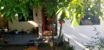 a house with trees and plants in front of a door at Tamaduni Homestay & Lodge in Arusha