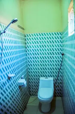 a bathroom with a toilet and a blue tiled wall at Biez Homestay in Karatu
