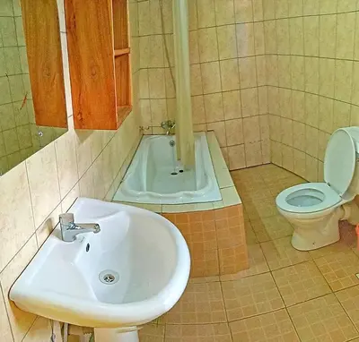 a bathroom with a sink and a toilet at Kilimanjaro Eco Lodge in Usa River