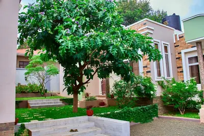 a tree in a yard in front of a house at Mvule Homes in Arusha