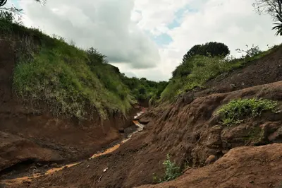 a dirt road with a river on the side at Msovi Hideaway in Arusha