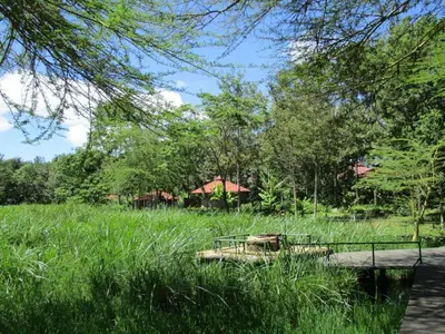 Gallery image of Kiboko Lodge in Usa River