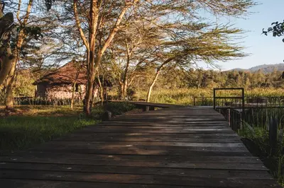 Gallery image of Kiboko Lodge in Usa River