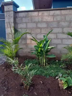 a garden with plants next to a brick wall at Moshi Epic Accommodation in Moshi