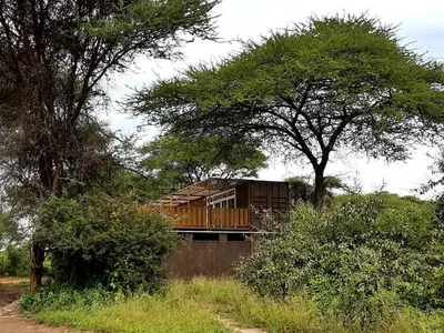a house sitting on top of a wooden fence at Elephant lodge in Kwa Kuchinia