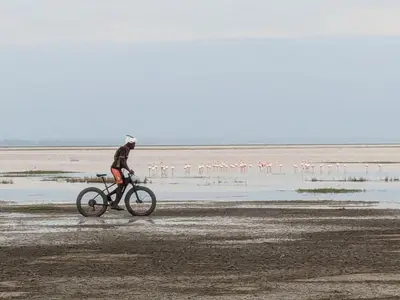 a person riding a bike on a beach with flamingos at Elephant lodge in Kwa Kuchinia