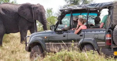 a group of people in a jeep with an elephant at BABA AFRICA HOSTEL in Arusha